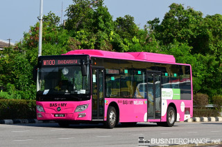 MDV3732 - M100